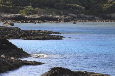 Tropikal adanın güzel manzarası. tatil, tatil konsepti