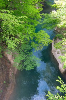 Ormandaki güzel nehir manzarası