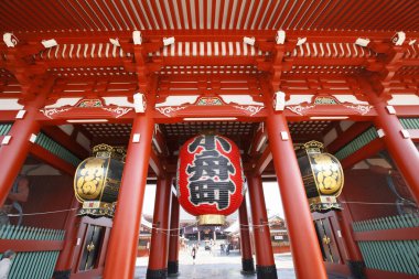 Bahçedeki geleneksel Japon tapınağı manzarası.