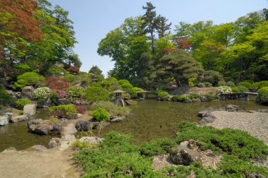 Yeşil bitkileri ve göleti olan geleneksel Japon bahçesi 