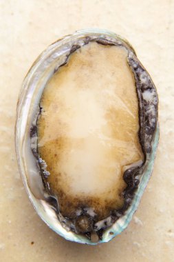 fırında deniz kulağı bifteği, deniz ürünleri yumuşakçaları, deniz ürünleri.