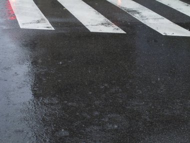 Zebra, asfalt yolda yaya geçidi.