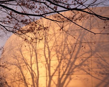 Ağaç dallarının gölgeleri kıvrımlı bina duvarları boyunca düşüyor