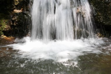 Ormanda güzel bir şelale 