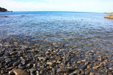 Yazın kayalık sahil manzarasını kapat.