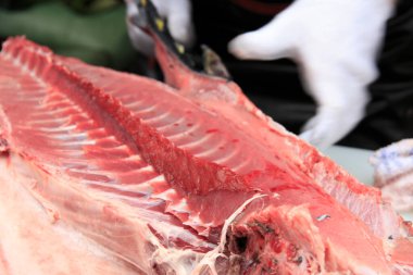 Pazardaki balıklar.