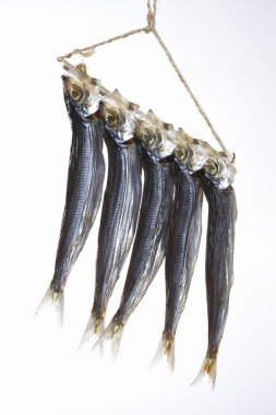 Beyaz arka planda ipte asılı duran balık.       