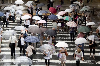 crowd of people with umbrellas crossing the road in the city on a rainy day 
