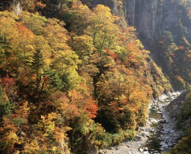 Sonbaharda nehrin güzel manzarası