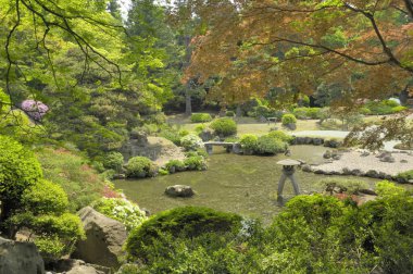Yeşil bitkileri ve göleti olan geleneksel Japon bahçesi 