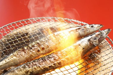 Kömürde ızgara Saury, kapat.
