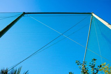 Açık mavi gökyüzüne karşı yeşil ağ yapısı