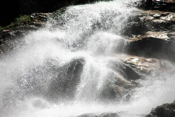 Ormandaki güzel şelale manzarası 