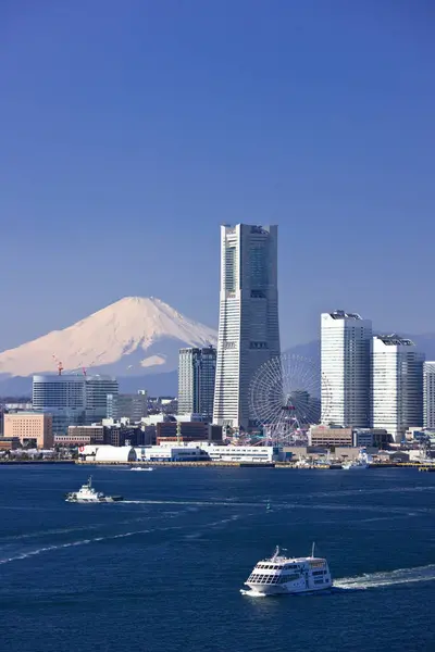 Vacker Utsikt Över Tokyo Stadsbild Och Berg Fuji — Stockfoto