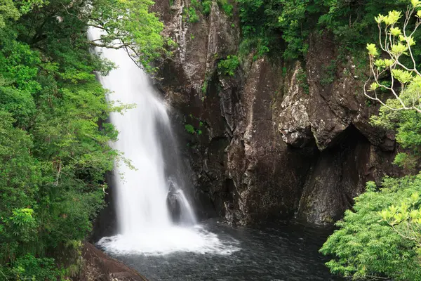 beautiful waterfall in rocky mountain forest