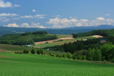 Mavi gökyüzü ve bulutlu güzel bir manzara.