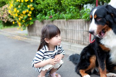 Parkta köpeği olan küçük Asyalı kız. 