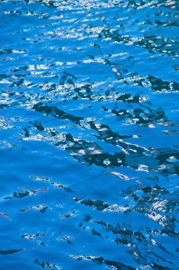 dalgalı mavi su yüzeyi