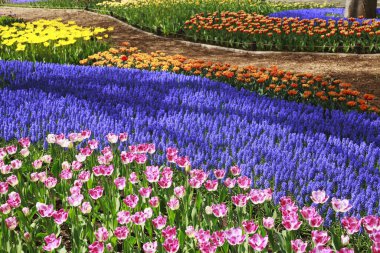 Parlak çiçekli güzel bir bahar bahçesi 