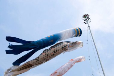 Mavi gökyüzüne karşı Japon sazan streamer dekorasyon