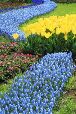Lale çiçekleriyle güzel bir bahar bahçesi 