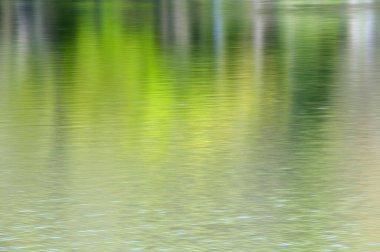 Parktaki nehirde yeşil su yansıması