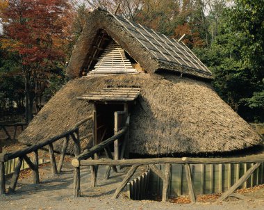 Ağaçlarla çevrili geleneksel sazdan çatı kulübesi