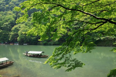 Parktaki güzel göl manzarası