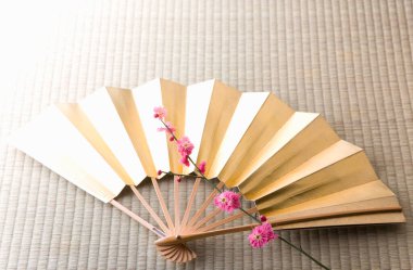 Altın Japon yelpazesi ve çiçek açmış bahar ağacının pembe çiçekleri 