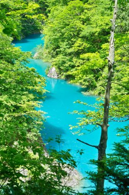 Göl ve dağlarla dolu güzel bir manzara.