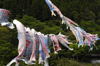 Sagamihara Festivali, Sazan Bayrakları Çelengi, Japonya 'da geleneksel etkinlik