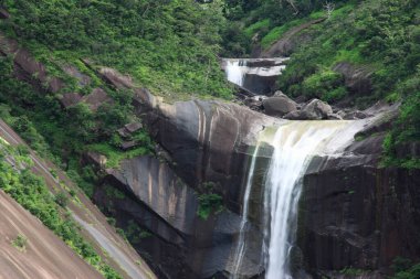 Ormanda güzel bir şelale