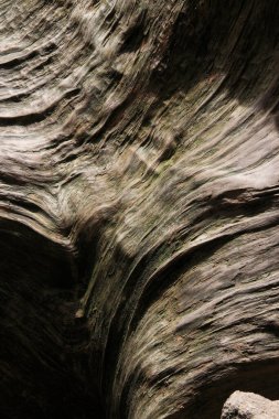 Doğal desenli eski ahşap bir doku.