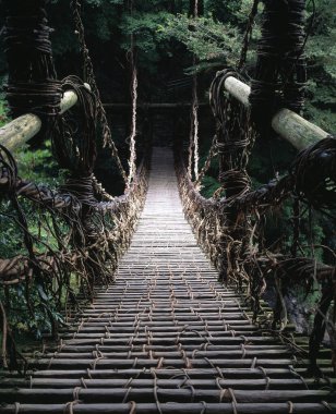 Asma köprü, yemyeşil ormandan geçen ahşaptan yapılmıştır.