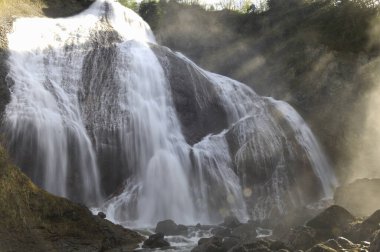 Ormanın güzel şelale manzarası 