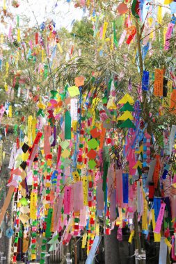 Tanabata ya da yıldız festivali sırasında asılı duran kağıt şeritleri üzerindeki dekorasyon ve dilekler