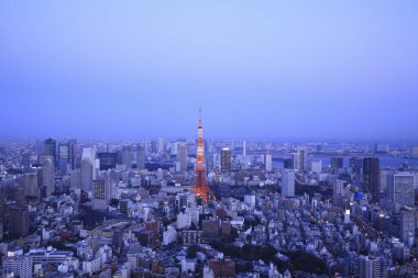 Japonya 'daki Tokyo Kulesi akşam arkaplanı