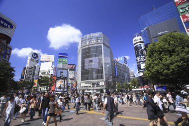 Shibuya Tokyo, Japonya'da geçiş Scramble