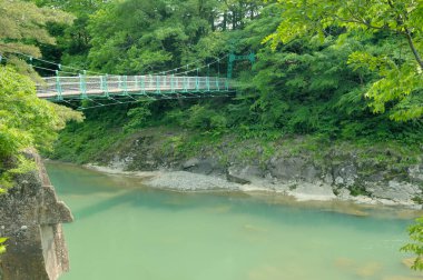 Yeşilliklerle çevrili turkuaz nehri geçerken asma köprü