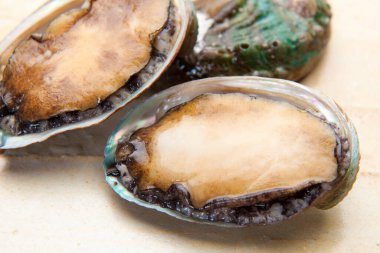 fırında deniz kulağı bifteği, deniz ürünleri yumuşakçaları, deniz ürünleri.