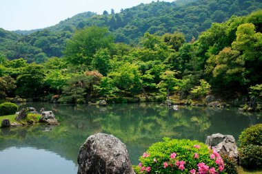 Gölü olan güzel Japon manzarası