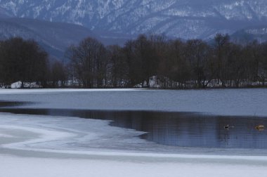 Karla kaplı ağaçlar ve nehirlerle kaplı kış manzarası          