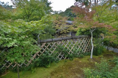 Bahçedeki güzel eski ev.