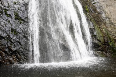 Ormanda güzel bir şelale 