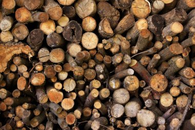 Ahşap. eski ahşap doku.