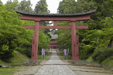 Kırmızı Torii kapıları yemyeşil parka açılıyor.