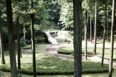 Dolambaçlı yolları, uzun ağaçları ve küçük köprüsü olan yemyeşil bir bahçe.