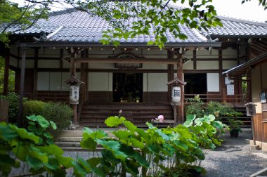 Eski geleneksel Asyalı mimari görüşü