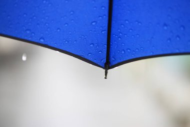 Yağmur damlalı mavi şemsiye manzarasını kapat