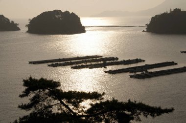 Gün batımında Japonya 'daki Toba Körfezi' nin güzel manzarası